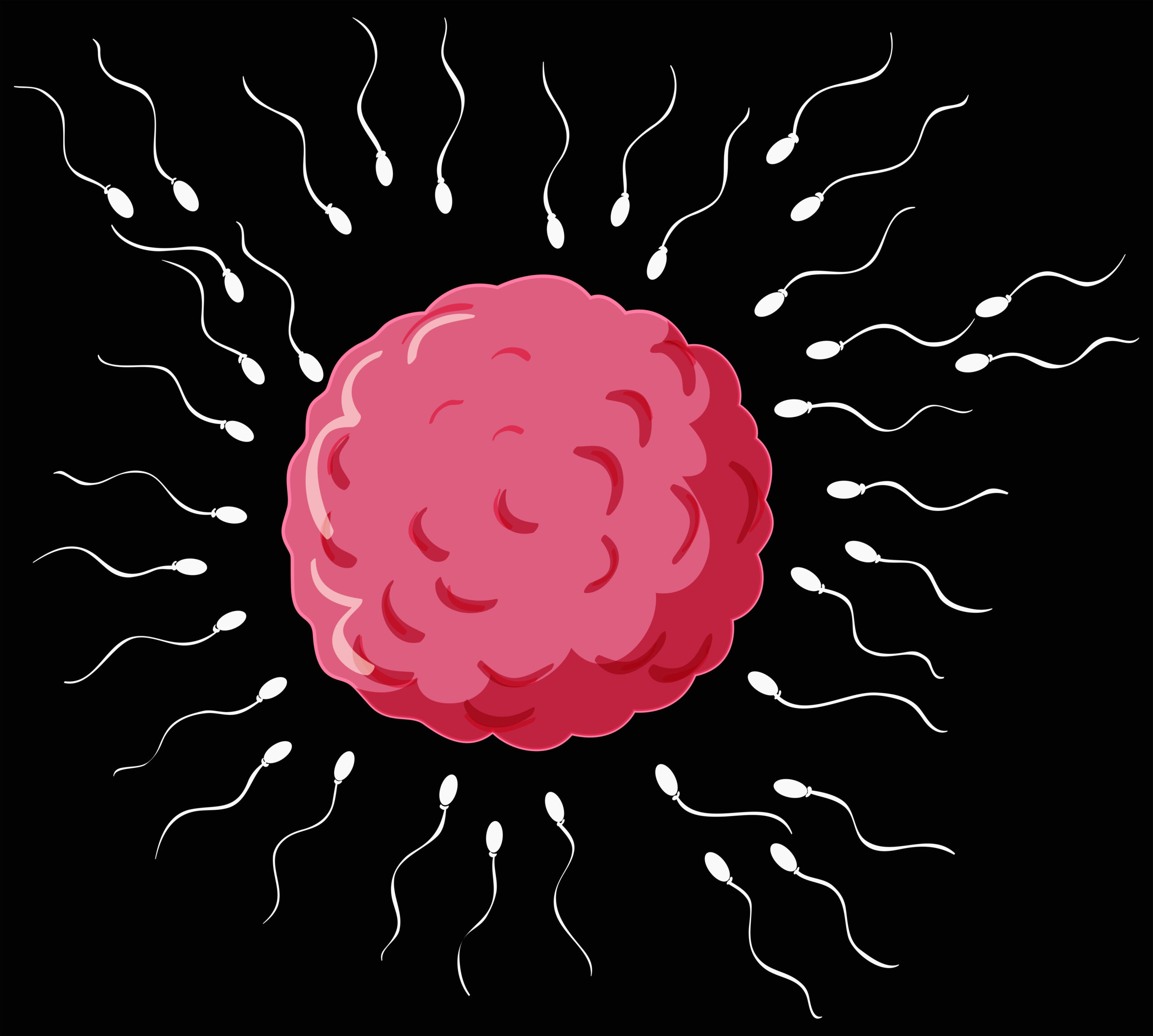 Everything You Need To Know About The Natural Ways of Boosting Sperm Count