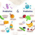 Probiotics V/S Prebiotics: The Differences You Should Know About