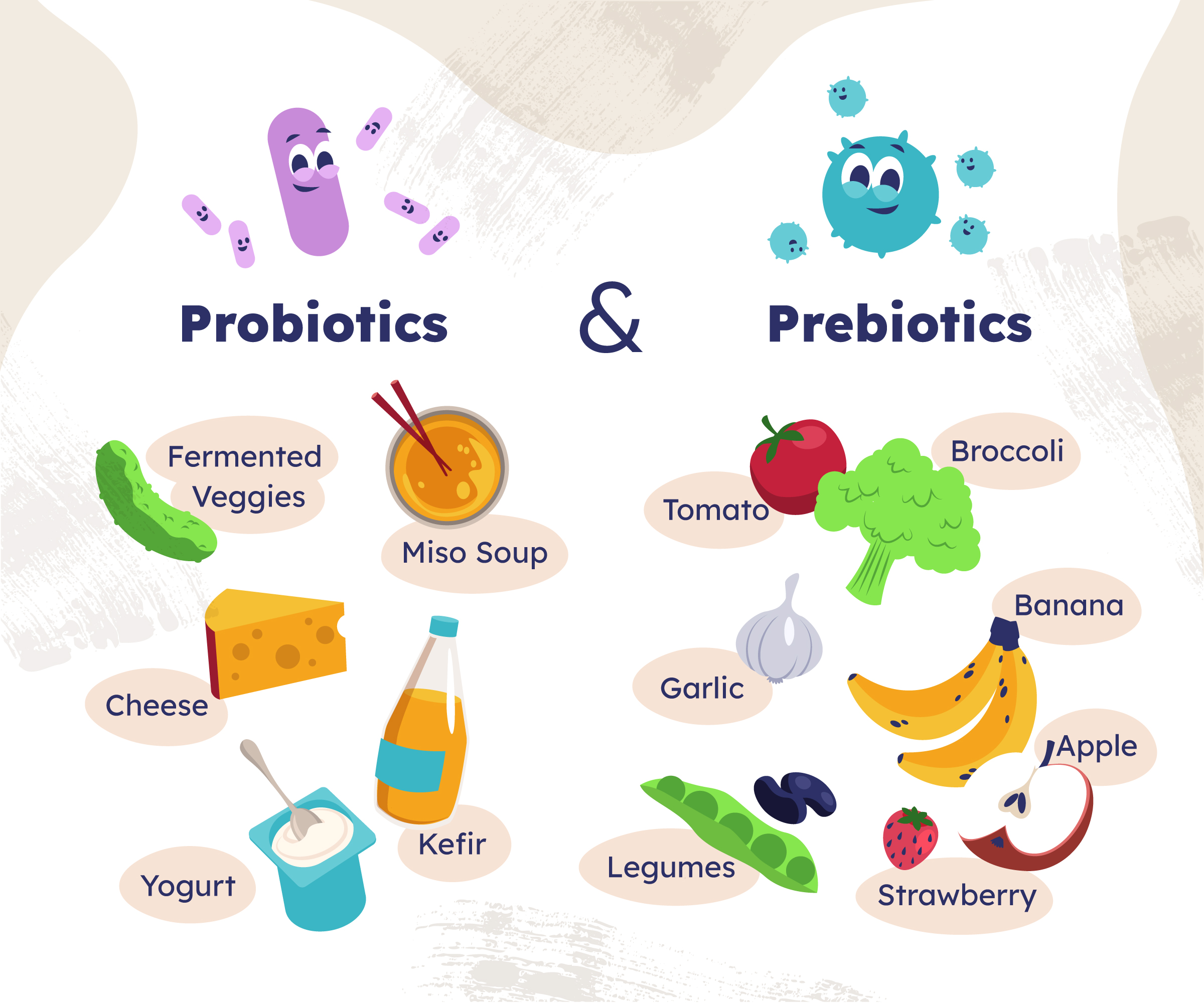Probiotics V/S Prebiotics: The Differences You Should Know About