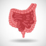 Understanding SIBO: Small Intestinal Bacterial Overgrowth Explained