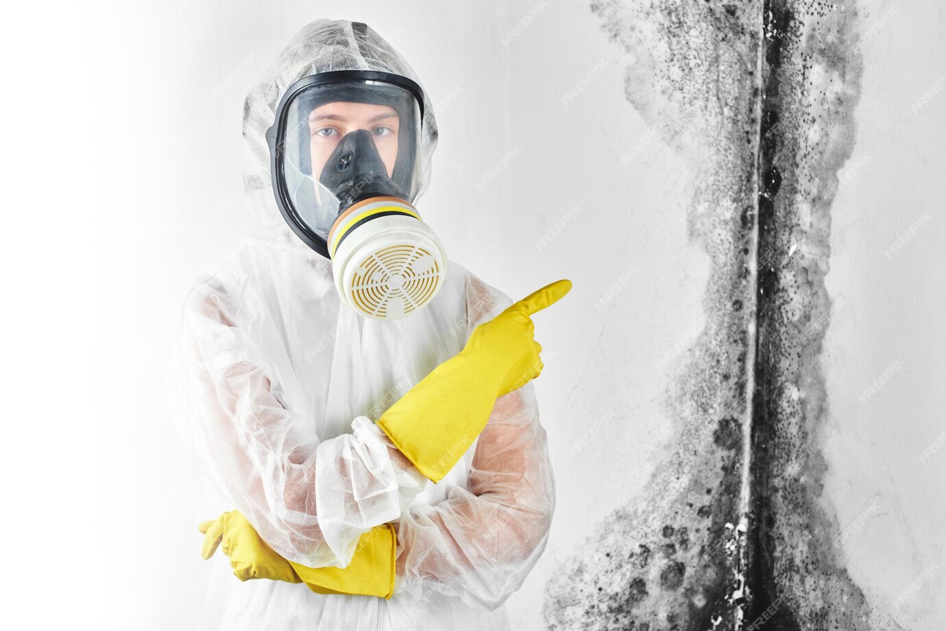 Mold Toxicity – Symptoms & Detox Protocols